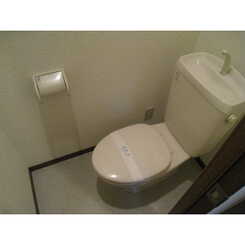 アンプルール フェール SSのサムネイル