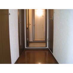 アンプルール フェール SSのサムネイル