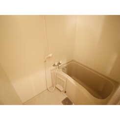 アンプルール フェール SSのサムネイル