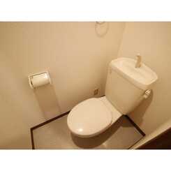 アンプルール フェール SSのサムネイル