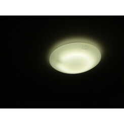 アンプルール フェール すぎやまのサムネイル