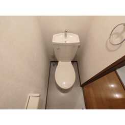 アンプルールフェールSHIBATAのサムネイル