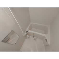 アンプルールフェールSHIBATAのサムネイル