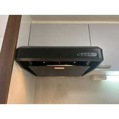 アンプルールフェールSHIBATAのサムネイル