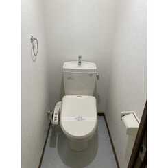 アンプルールフェールSHIBATAのサムネイル