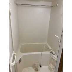 アンプルールフェールSHIBATAのサムネイル