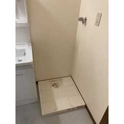 アンプルールフェールSHIBATAのサムネイル