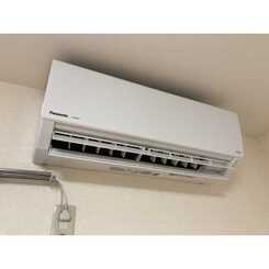 アンプルールフェールSHIBATAのサムネイル