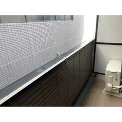 アンプルールフェールSHIBATAのサムネイル