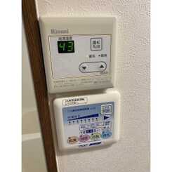 アンプルールフェールSHIBATAのサムネイル