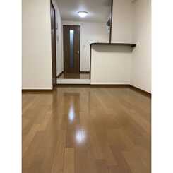 アンプルールフェールSHIBATAのサムネイル