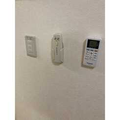 アンプルールフェールSHIBATAのサムネイル