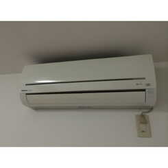 アンプルール フェール 梓のサムネイル