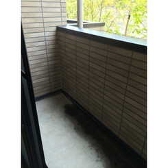 アンプルール フェール 梓のサムネイル