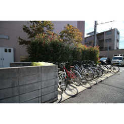 アンプルール フェール リリエンハイムⅡのサムネイル