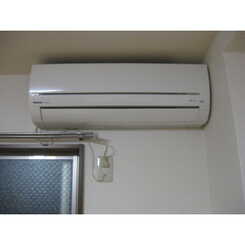 アンプルールフェールオロールのサムネイル