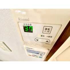 アンプルールフェールネサンスのサムネイル