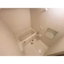 アンプルールフェールネサンスのサムネイル