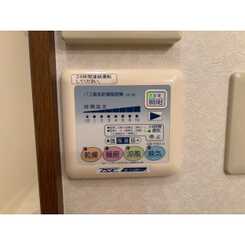 アンプルールフェールネサンスのサムネイル