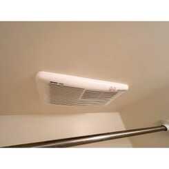 アンプルールフェールネサンスのサムネイル