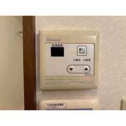 アンプルールフェールネサンスのサムネイル