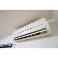 アンプルール フェール ハンナハンナのサムネイル