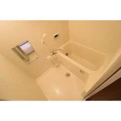 アンプルール フェール ハンナハンナのサムネイル