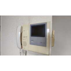 アンプルール フェール ハンナハンナのサムネイル