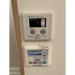 アンプルール フェール フリージアのサムネイル