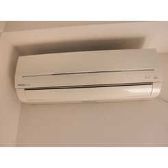 アンプルール フェール フリージアのサムネイル