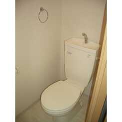 アンプルール フェール フリージアのサムネイル