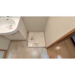 アンプルール フェール フリージアのサムネイル