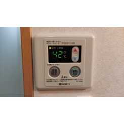 アンプルール フェール フリージアのサムネイル