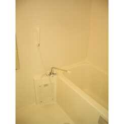 アンプルール フェール フリージアのサムネイル