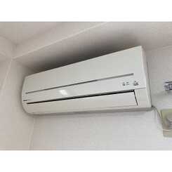 アンプルール フェール フリージアのサムネイル