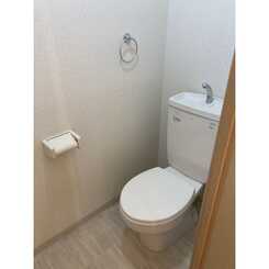 アンプルール フェール フリージアのサムネイル