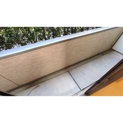 アンプルール フェール フリージアのサムネイル