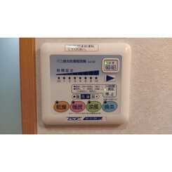 アンプルール フェール フリージアのサムネイル