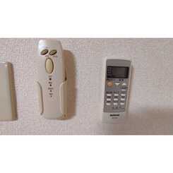 アンプルール フェール フリージアのサムネイル