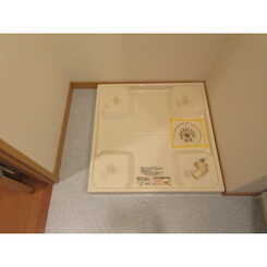 アンプルール フェール YAHAGIⅡのサムネイル