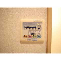 アンプルール フェール M.Yのサムネイル