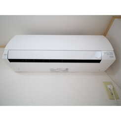 アンプルール フェール M.Yのサムネイル