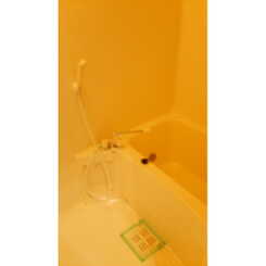 アンプルール フェールTheEarthのサムネイル