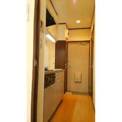 アンプルール フェールTheEarthのサムネイル