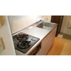 アンプルール フェールTheEarthのサムネイル