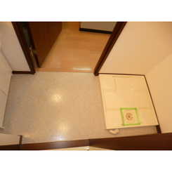 アンプルール フェールTheEarthのサムネイル