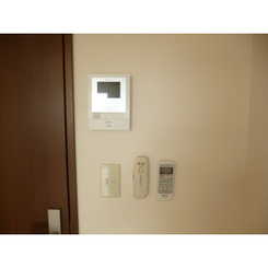 アンプルール フェールTheEarthのサムネイル