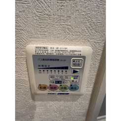 アンプルール フェール Verdeのサムネイル