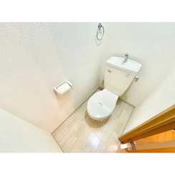 アンプルール フェール U-HAのサムネイル