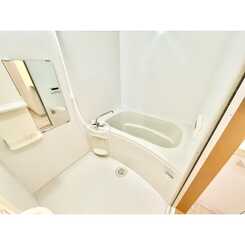 アンプルール　フェール　ベレーザのサムネイル